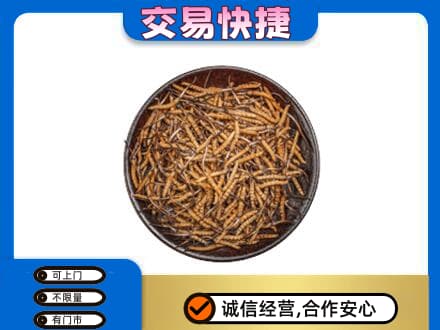 嘉峪关金川回收散虫草