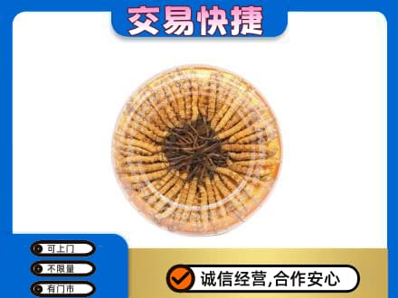 嘉峪关金川回收虫草礼盒